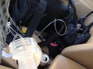 Pumping breastmilk in the car is the least glamorous thing in the world.